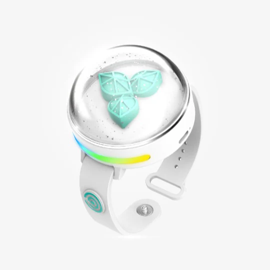 day6-official-light-stick.webp