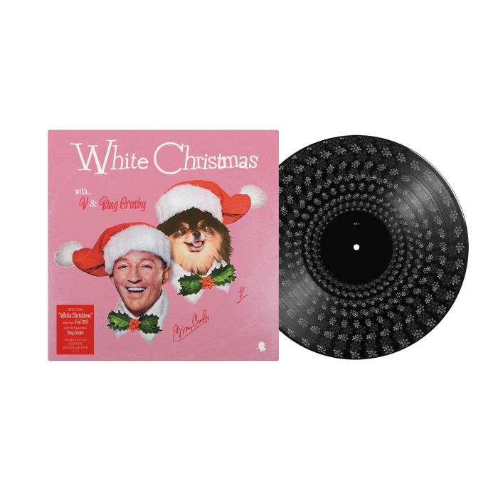 zoetrope-snowflake-vinyl.webp