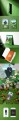 seungkwan-carrot-keeper.jpg