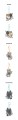bbnexdo-lucky-draw-details2.jpg