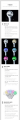 katseye-ls-details6.png