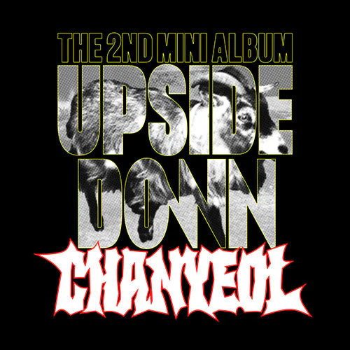 chanyeol-upise-down.webp