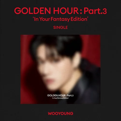 wooyoung-in-your-fantasy..webp