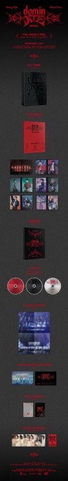stray-kids-dominate-seoul-dvd-details.jpg