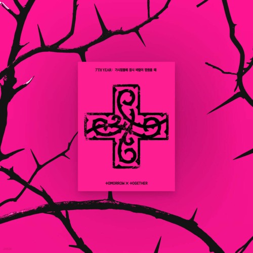 txt-7th-year-a-moment-of-stillness-in-the-thorns-ppulbatu-weverse-albums-ver.jpg