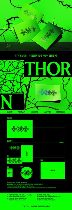 txt-7th-year-a-moment-of-stillness-in-the-thorns-thorn-ver-details.png