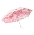 Starbucks Korea Spring edition 2026-Blooming Umbrella-v2.jpg