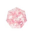 Starbucks Korea Spring edition 2026-Blooming Umbrella-v3.jpg