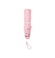 Starbucks Korea Spring edition 2026-Blooming Umbrella-v4.jpg