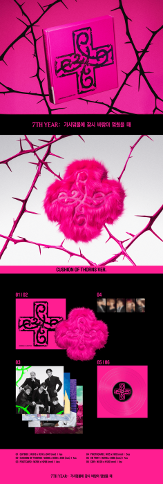 txt-cushion-of-the-thorns-details.png