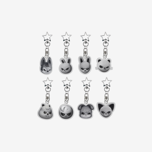 skzoo-everywhere-all-around-the-world-skzoo-acrylic-keyring.png