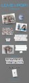 triples-love&amp;pop-wallflower-details.jpg