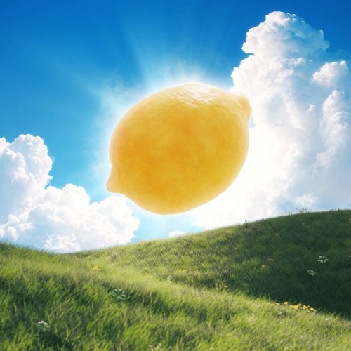 h2h-lemon-tangg.jpg