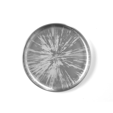 BTS Tray