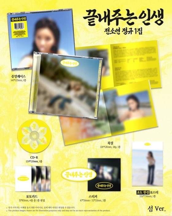 soyeon-What-a-wonderful-life-island-details.jpg