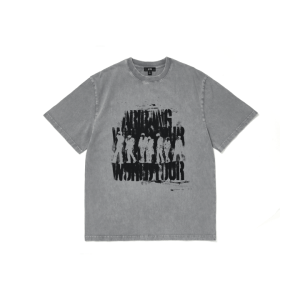 arirang-photo-t-shirrt.png