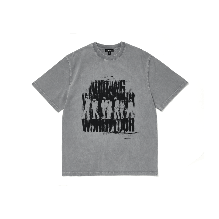 arirang-photo-t-shirrt.png