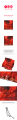 arirang-bandana-keyrinf-set-details.png