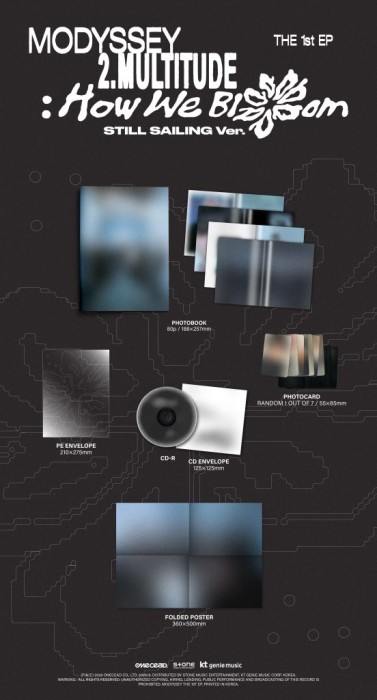 modyssey-2-multitude-how-we-bloom-still-sailing-details.jpg