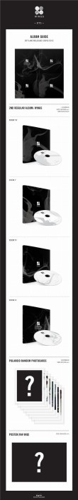 BTS-Wings-detail.jpg