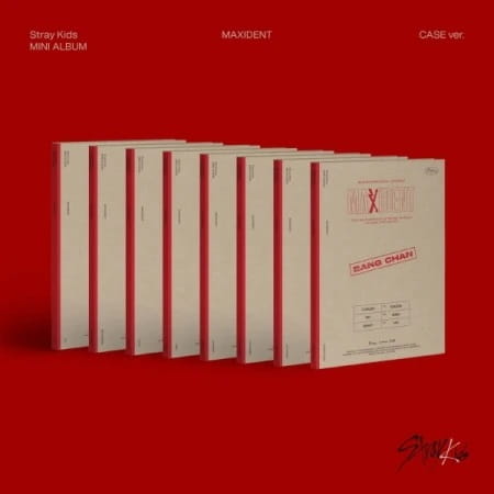 stray-kids-maxident-case-ver.jpg